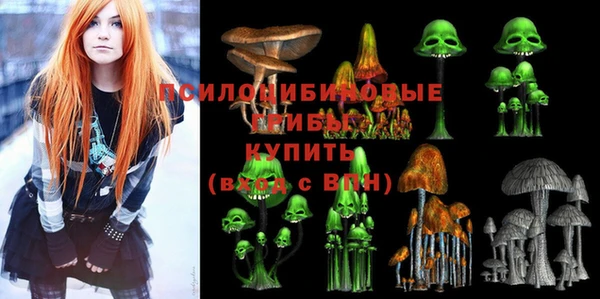 марихуана Абаза