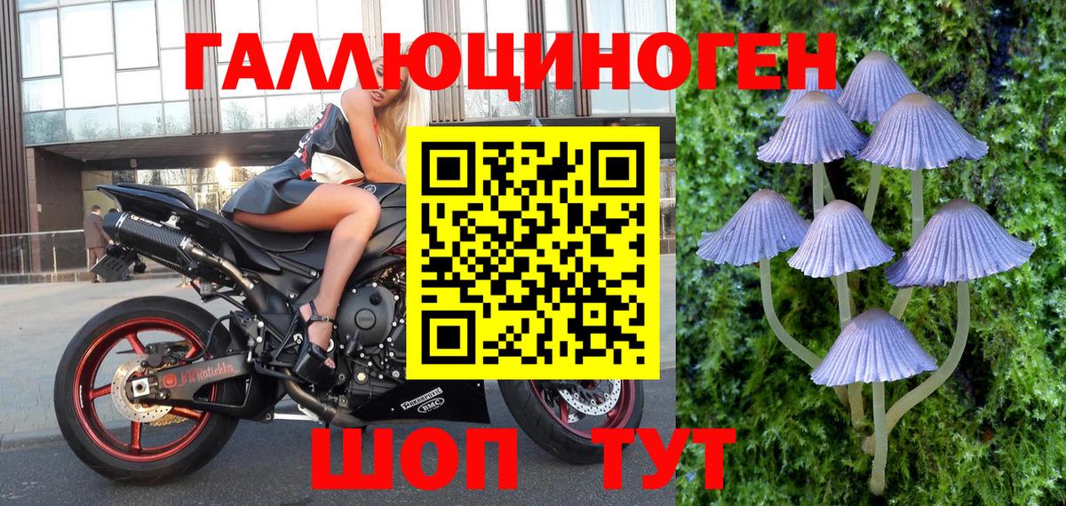 Оренбург  Псилоцибиновые грибы Magic Shrooms  Вход с VPN 